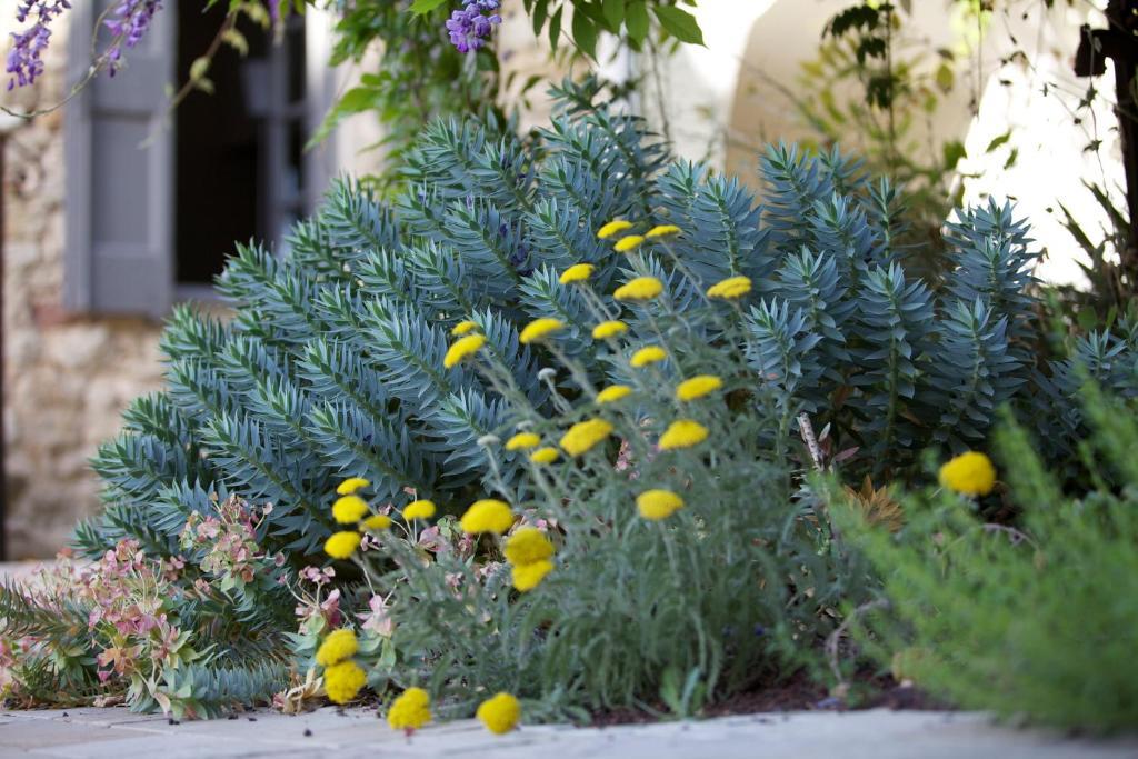 La Maison D'Ulysse Small Luxury Hotel Baron  Exterior foto